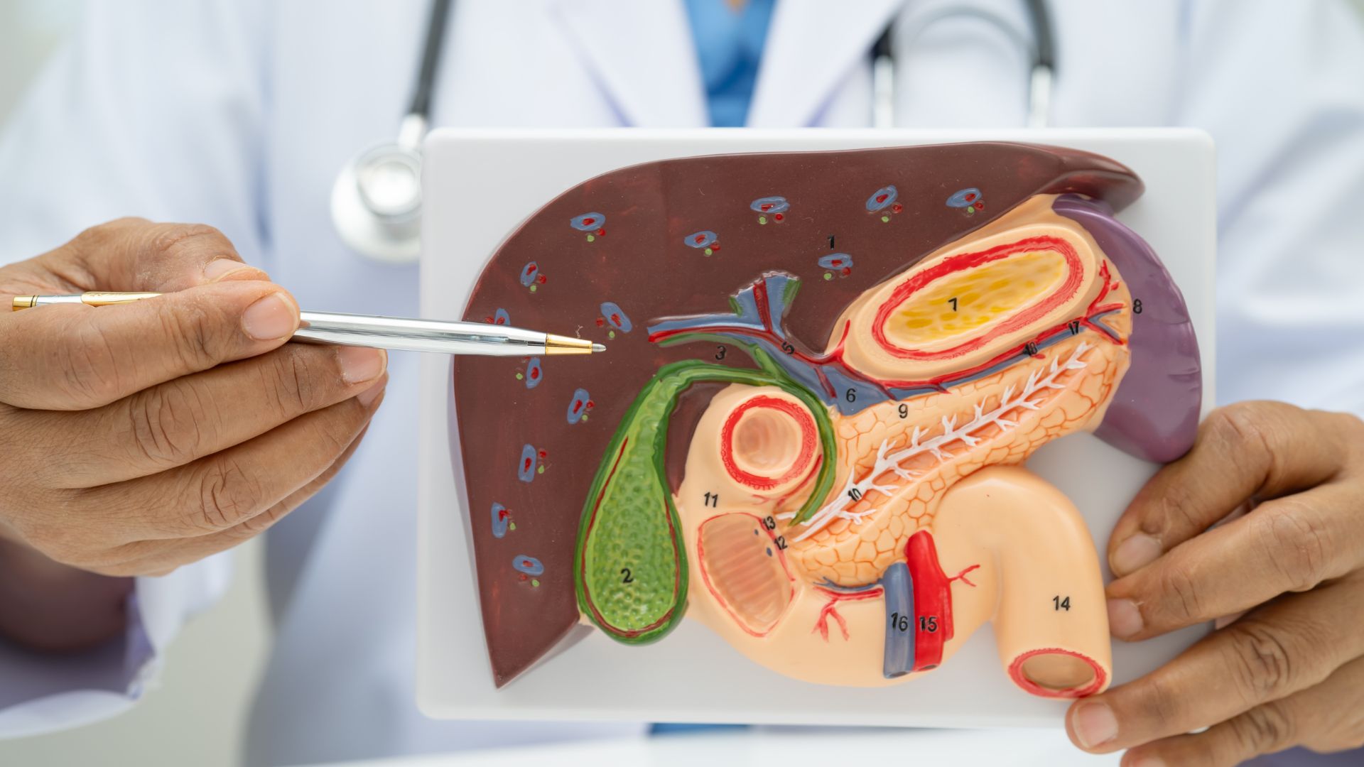 Descubra tudo sobre a cirurgia para doenças da vesícula biliar com o Dr Vinícius Simonetti. Informações úteis e dicas de recuperação.