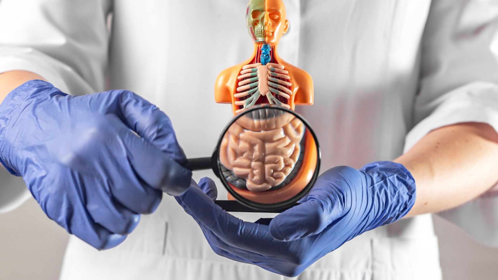 Descubra tudo sobre a cirurgia para câncer de intestino delgado, opções de tratamento e a importância do acompanhamento médico.